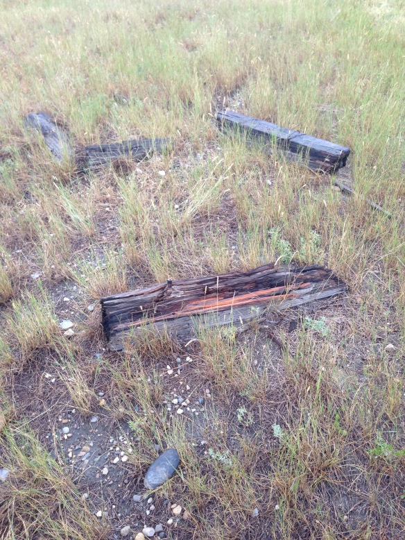 Discarded railroad ties along Route 12 near Sumatra.